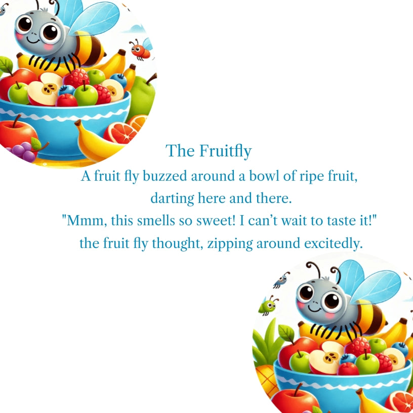 What Insects Think: Part II